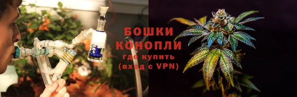 мдпв Пестово