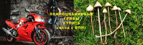 мдпв Пестово