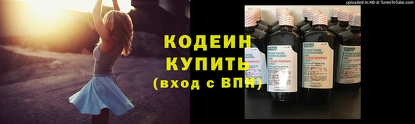 ГАЛЛЮЦИНОГЕННЫЕ ГРИБЫ Осинники
