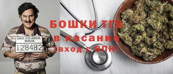 мдпв Пестово