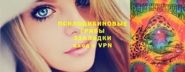 мдпв Пестово