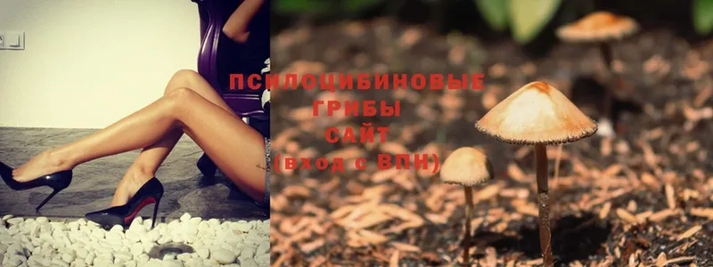 Псилоцибиновые грибы MAGIC MUSHROOMS  Остров 